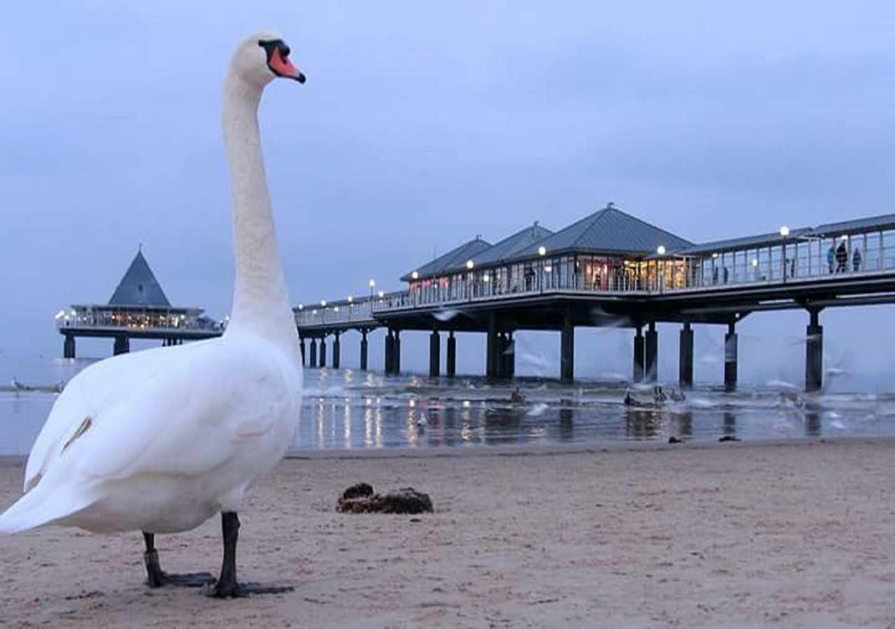 Villa Inge App 12 Heringsdorf  Luaran gambar